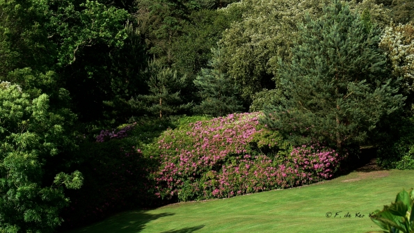 Bois des Moutiers (13) Juin 2012